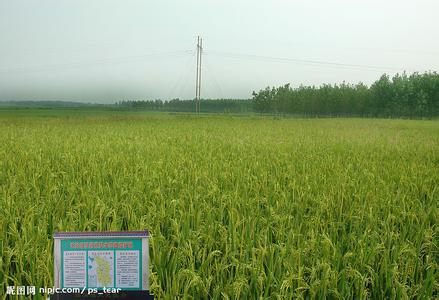 天長天氣預報30天查詢,天長市一個月天氣