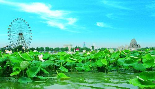 阜陽(yáng)天氣預(yù)報(bào)30天查詢,阜陽(yáng)市一個(gè)月天氣