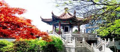譙城天氣預(yù)報(bào)30天查詢,譙城區(qū)一個(gè)月天氣