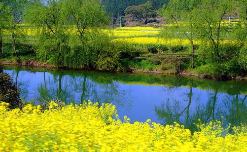 蒙城天氣預報30天查詢,蒙城縣一個月天氣