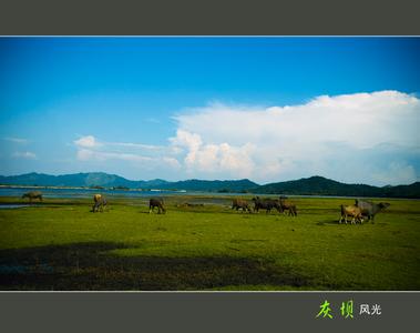 分宜天氣預(yù)報(bào)30天查詢,分宜縣一個(gè)月天氣