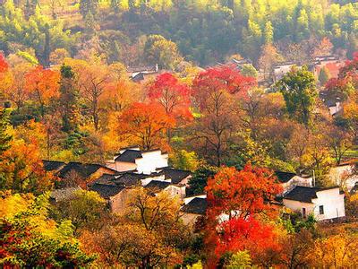 靖安天氣預報30天查詢,靖安縣一個月天氣