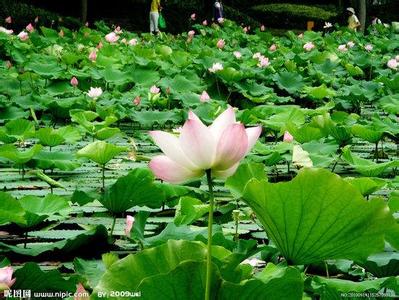 曹縣天氣預(yù)報30天查詢,曹縣一個月天氣