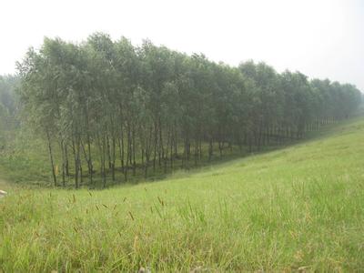 孟津天氣預報30天查詢,孟津縣一個月天氣