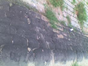 衛(wèi)東天氣預(yù)報(bào)30天查詢,衛(wèi)東區(qū)一個(gè)月天氣