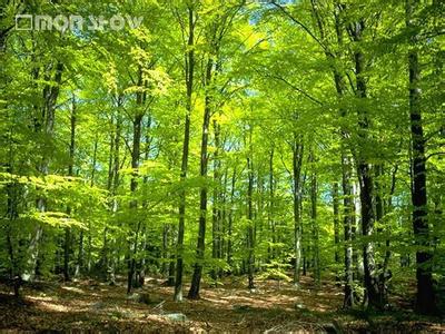 原陽天氣預報30天查詢,原陽縣一個月天氣