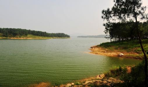 鎮平天氣預報30天查詢,鎮平縣一個月天氣