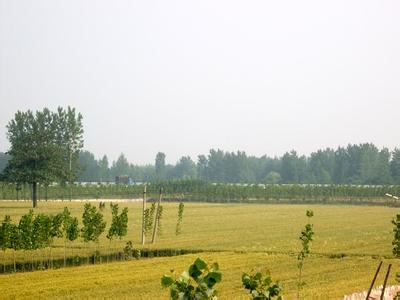 柘城天氣預(yù)報(bào)30天查詢(xún),柘城縣一個(gè)月天氣