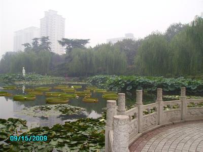 平輿天氣預報30天查詢,平輿縣一個月天氣