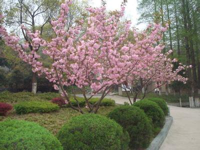 襄城天氣預報30天查詢,襄城區(qū)一個月天氣