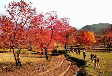 羅田天氣預報30天查詢,羅田縣一個月天氣