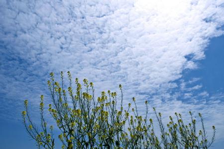 黃梅天氣預(yù)報30天查詢,黃梅縣一個月天氣