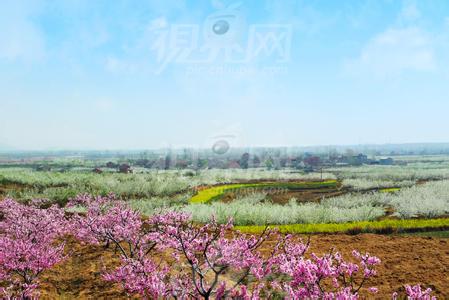 隨縣天氣預報30天查詢,隨縣一個月天氣