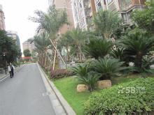 天元天氣預報30天查詢,天元區一個月天氣
