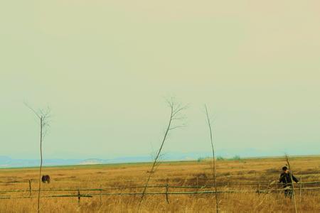 君山天氣預報30天查詢,君山區一個月天氣