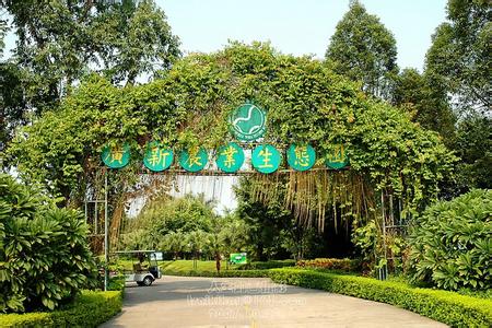 高要天氣預報30天查詢,高要市一個月天氣