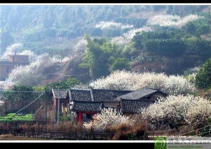 梅州天氣預報30天查詢,梅州市一個月天氣
