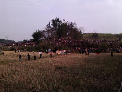 青秀天氣預(yù)報(bào)30天查詢,青秀區(qū)一個(gè)月天氣
