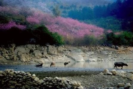 融安天氣預報30天查詢,融安縣一個月天氣
