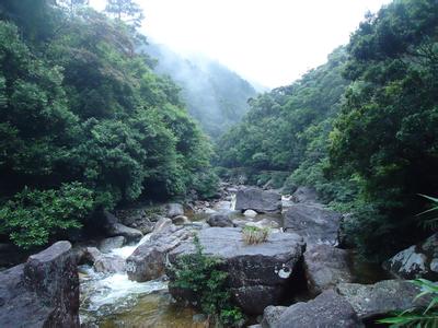 上思天氣預(yù)報(bào)30天查詢,上思縣一個(gè)月天氣