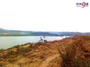 欽南天氣預報30天查詢,欽南區一個月天氣