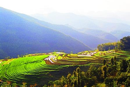 那坡天氣預報30天查詢,那坡縣一個月天氣