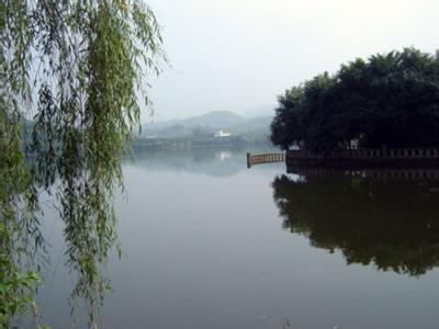 沙坪壩天氣預報30天查詢,沙坪壩區(qū)一個月天氣