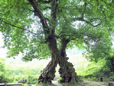銅梁天氣預報30天查詢,銅梁縣一個月天氣