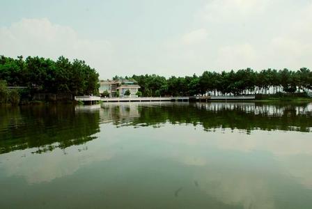 瀘縣天氣預(yù)報(bào)30天查詢(xún),瀘縣一個(gè)月天氣