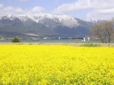 旺蒼天氣預報30天查詢,旺蒼縣一個月天氣