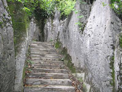 沙灣天氣預報30天查詢,沙灣區(qū)一個月天氣