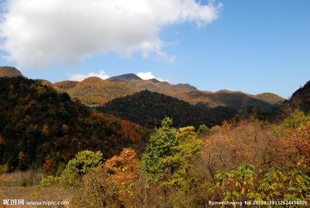 高坪天氣預報30天查詢,高坪區一個月天氣