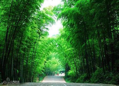 長寧天氣預(yù)報30天查詢,長寧縣一個月天氣