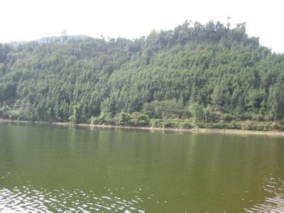 巴州天氣預報30天查詢,巴州區一個月天氣