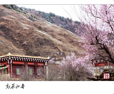 爐霍天氣預報30天查詢,爐霍縣一個月天氣
