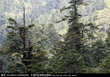 美姑天氣預報30天查詢,美姑縣一個月天氣