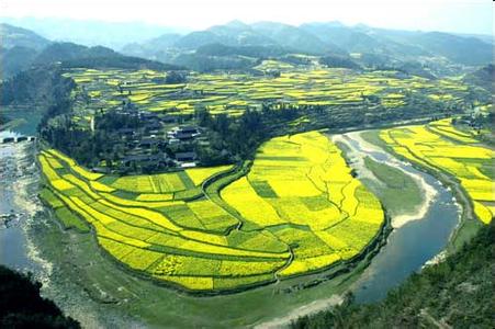 鳳岡天氣預(yù)報(bào)30天查詢,鳳岡縣一個(gè)月天氣