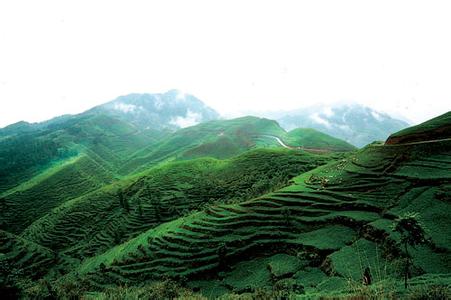 晴隆天氣預(yù)報(bào)30天查詢,晴隆縣一個(gè)月天氣
