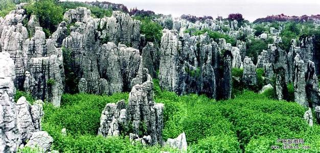 畢節天氣預報30天查詢,畢節地區一個月天氣