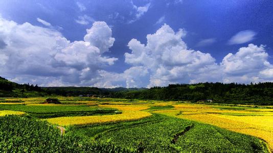 錦屏天氣預報30天查詢,錦屏縣一個月天氣