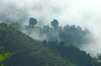 西盟天氣預報30天查詢,西盟縣一個月天氣
