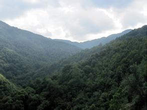 雙柏天氣預報30天查詢,雙柏縣一個月天氣