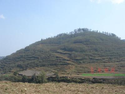 屏邊天氣預報30天查詢,屏邊縣一個月天氣