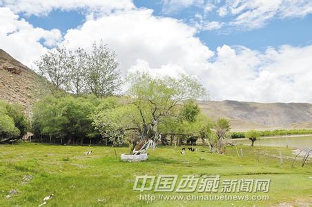 尼木天氣預報30天查詢,尼木縣一個月天氣