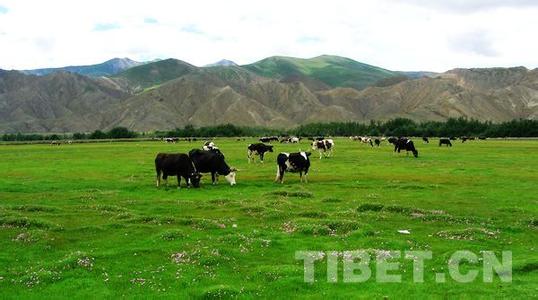 隆子天氣預(yù)報(bào)30天查詢,隆子縣一個(gè)月天氣