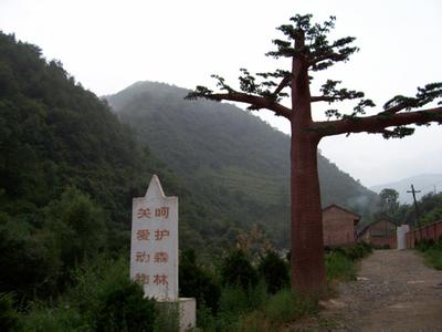 周至天氣預報30天查詢,周至縣一個月天氣