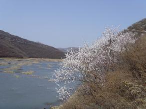 印臺(tái)天氣預(yù)報(bào)30天查詢,印臺(tái)區(qū)一個(gè)月天氣