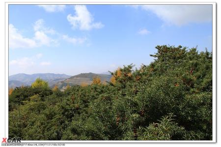 七里河天氣預(yù)報(bào)30天查詢,七里河區(qū)一個(gè)月天氣