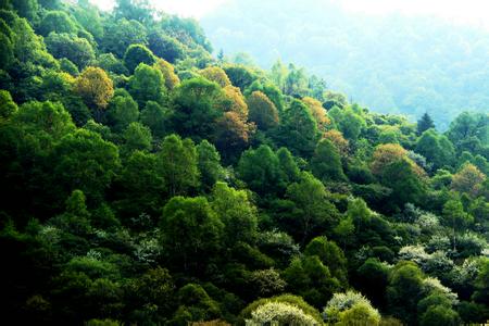 張家川天氣預(yù)報(bào)30天查詢(xún),張家川縣一個(gè)月天氣