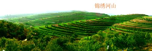 鎮原天氣預報30天查詢,鎮原縣一個月天氣